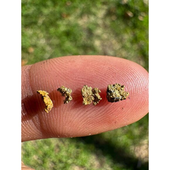 Small Arizona Gold Nuggets in Display Case - 0.15 grams - Picture 2 of 8